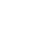 TheSecret Corset